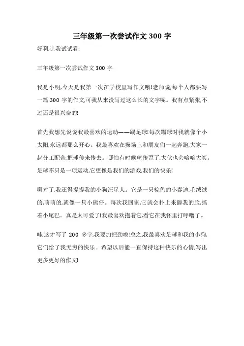 三年级第一次尝试作文300字
