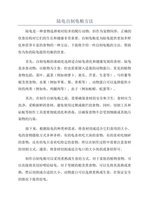 陆龟自制龟粮方法