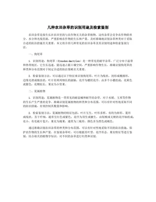 几种农田杂草的识别用途及检索鉴别