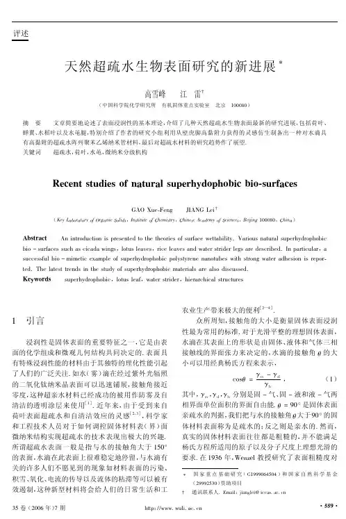 天然超疏水生物表面研究的新进展