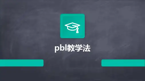 2024版pbl教学法