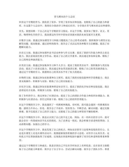 青马期末的个人总结