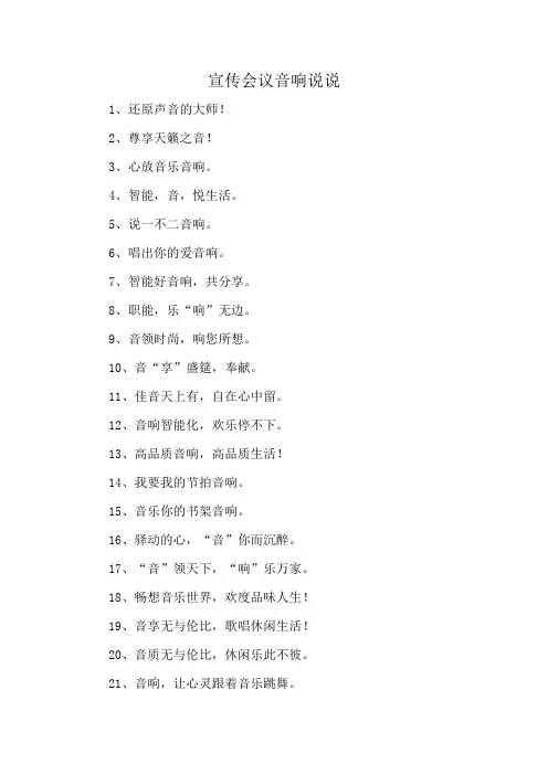 宣传会议音响说说