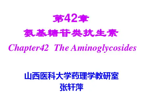 氨基糖苷类抗生素2008