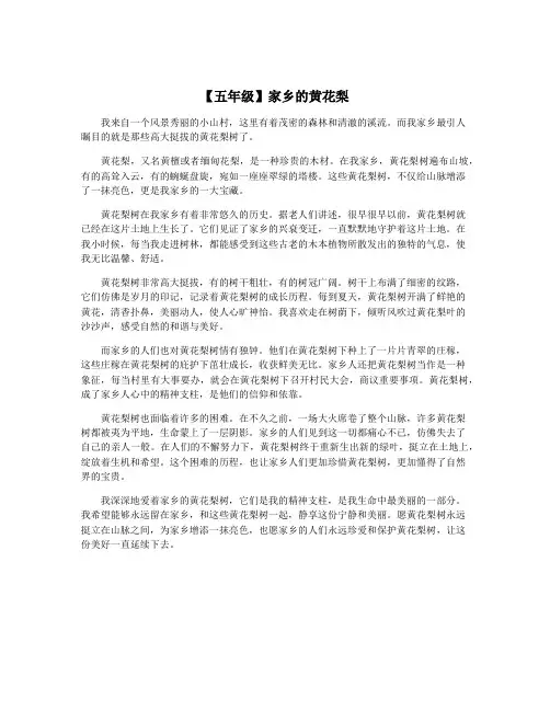 【五年级】家乡的黄花梨