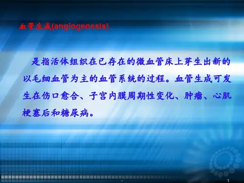 血管生成与肿瘤ppt课件