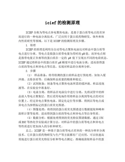 icief的检测原理