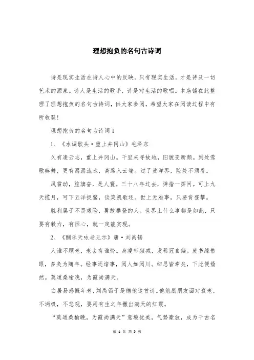 理想抱负的名句古诗词
