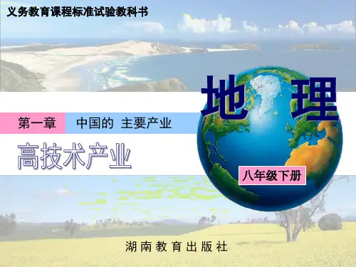 中国的主要产业——高技术产业