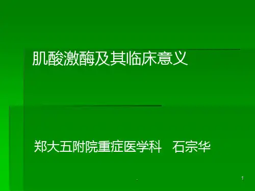 肌酸激酶ppt课件
