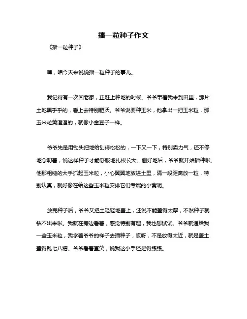 播一粒种子作文