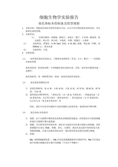 染色体标本的制备及组型观察 实验报告