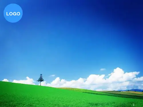 第5章公司层战略