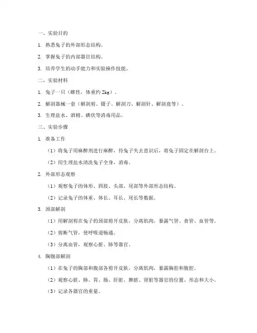 实验解剖兔子实验报告