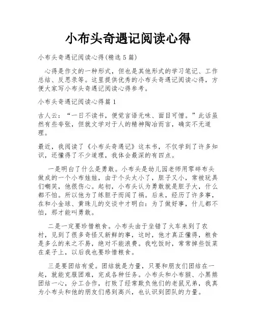 小布头奇遇记阅读心得