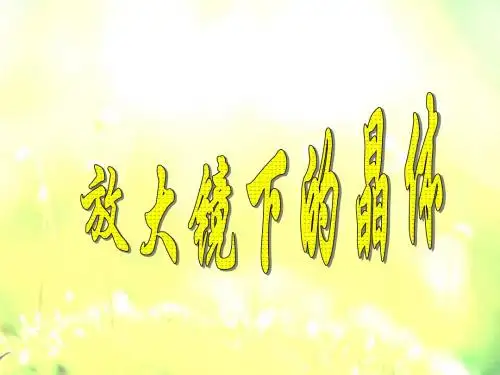 教科版六年级科学下册第一单元《放大镜下的晶体 》课件