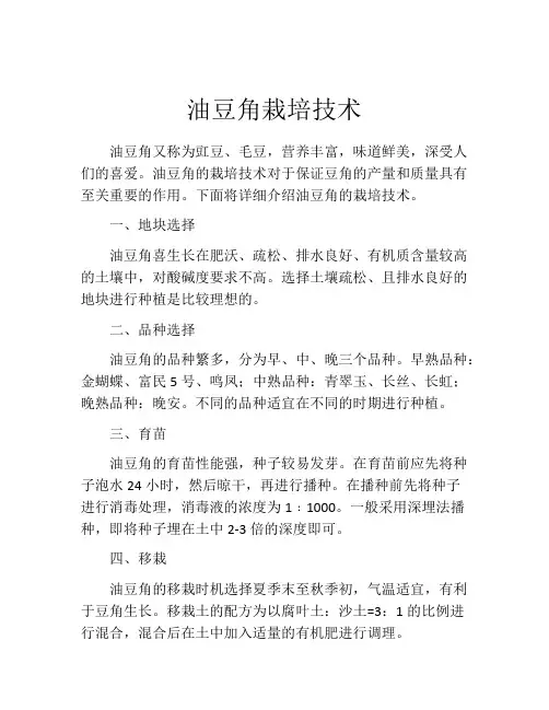 油豆角栽培技术