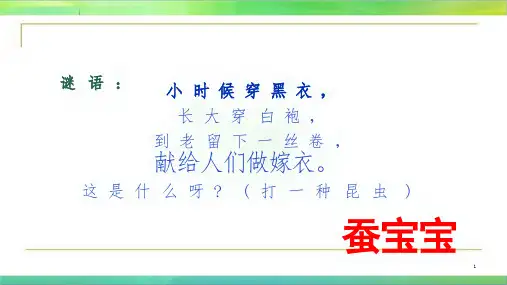三年级下-1、《迎接蚕宝贝的到来》课件