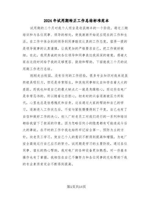 2024年试用期转正工作总结标准范本(七篇)