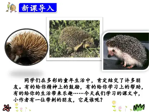 三年级语文上册：23.带刺的朋友教学课件