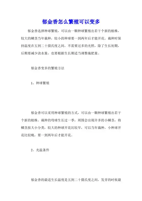 郁金香怎么繁殖可以变多