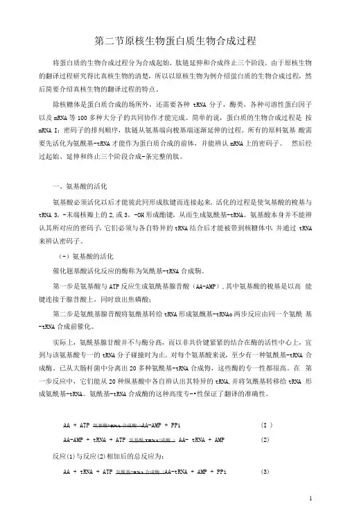 原核生物蛋白质生物合成过程