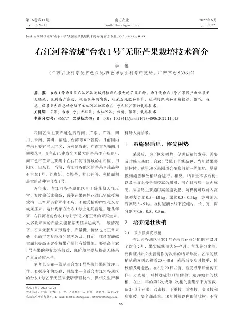 右江河谷流域“台农1号”无胚芒果栽培技术简介