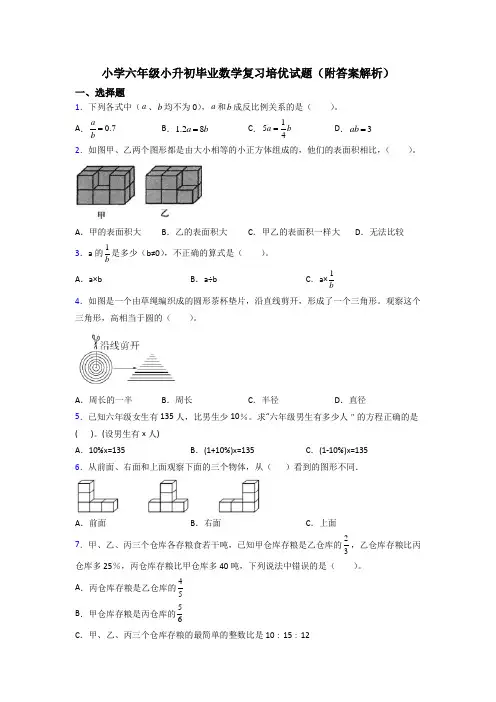 小学六年级小升初毕业数学复习培优试题(附答案解析)