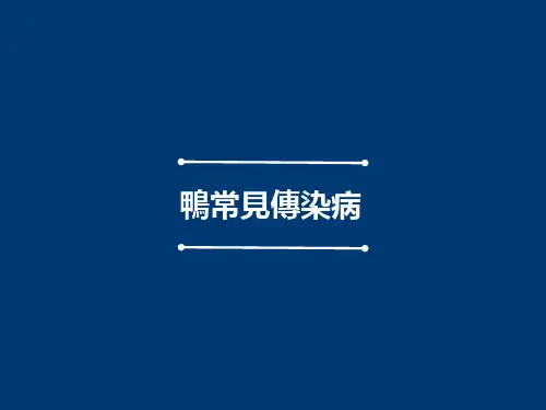 鸭常见传染病课件