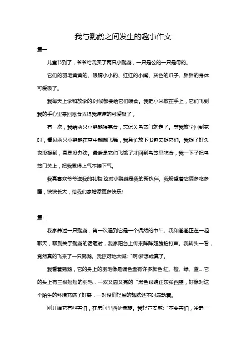 我与鹦鹉之间发生的趣事作文
