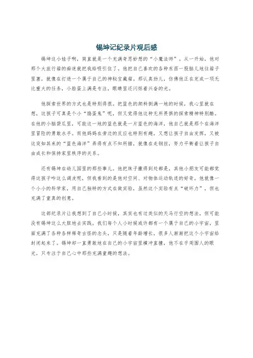 锡坤记纪录片观后感