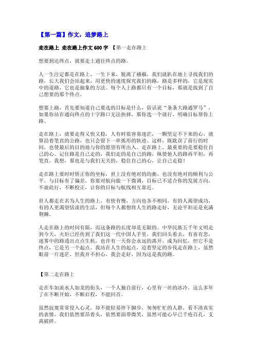 作文,追梦路上