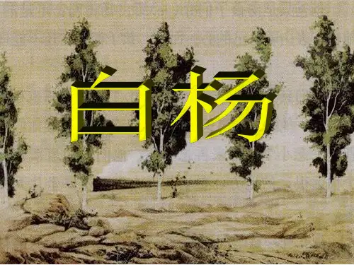 部编版五年级下册语文《白杨》PPT课件说课教学