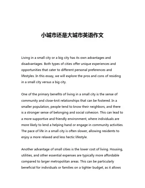 小城市还是大城市英语作文