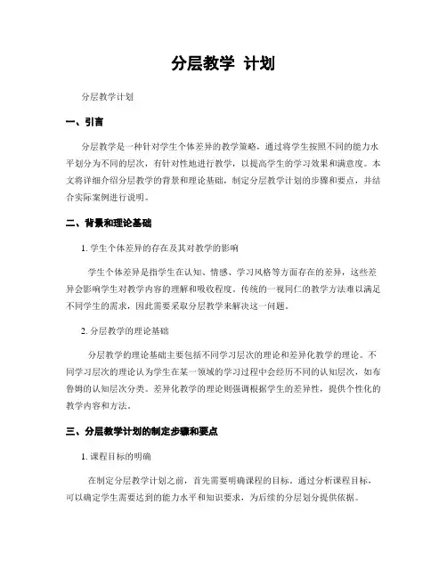 分层教学 计划