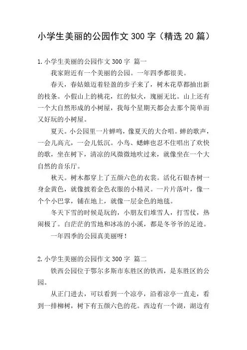 小学生美丽的公园作文300字(精选20篇)