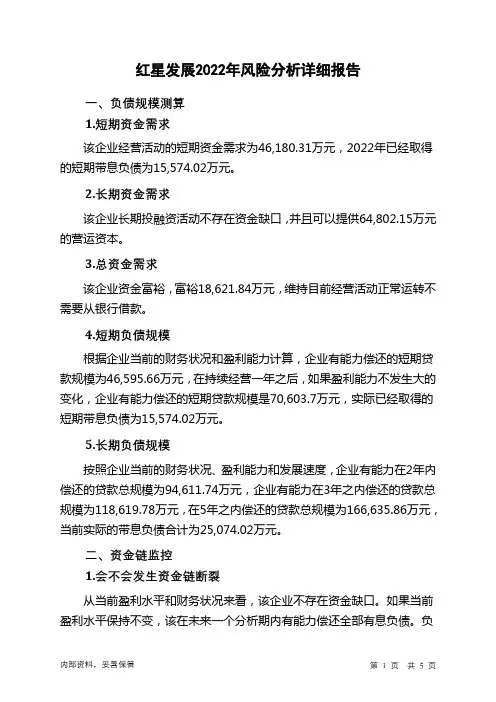 600367红星发展2022年财务风险分析详细报告