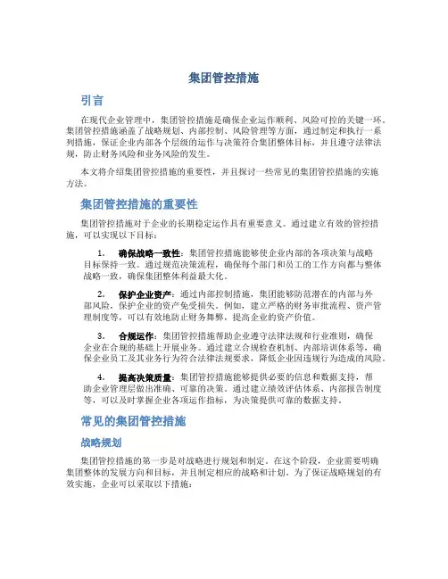 集团管控措施