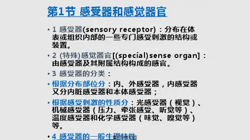 感觉器官的结构与功能PPT课件