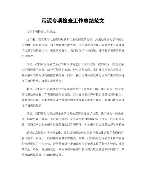 污泥专项检查工作总结范文