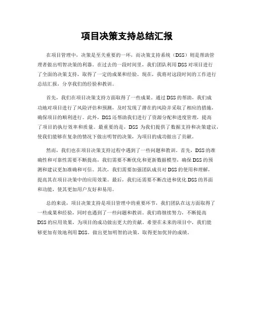 项目决策支持总结汇报