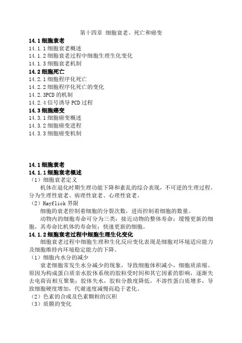 第十四章 细胞衰老、死亡与癌变 细胞生物学(王金发版)章节总结