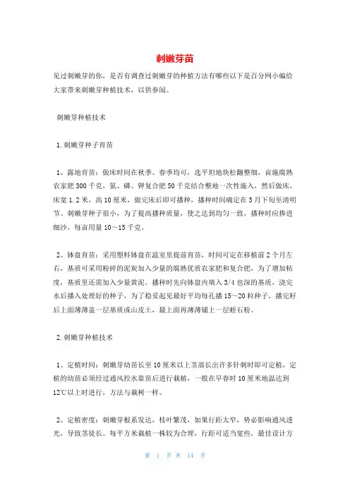 刺嫩芽苗_精品文档