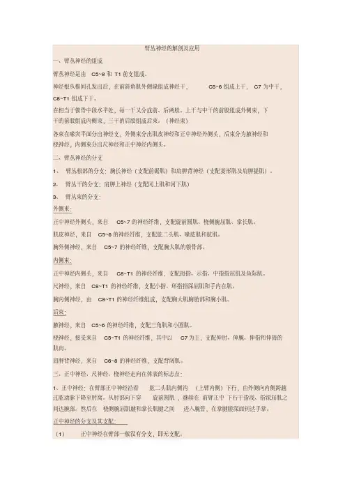 臂丛神经解剖-新版.pdf