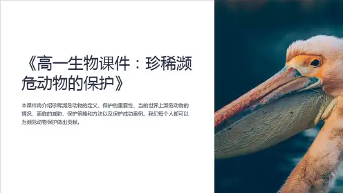《高一生物课件：珍稀濒危动物的保护》