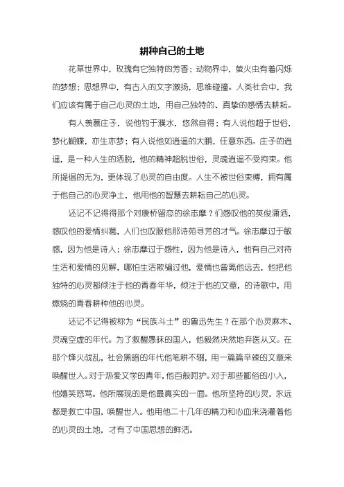 高三作文：耕种自己的土地作文800字_4