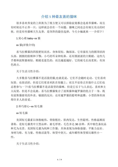 介绍5种最友善的猫咪