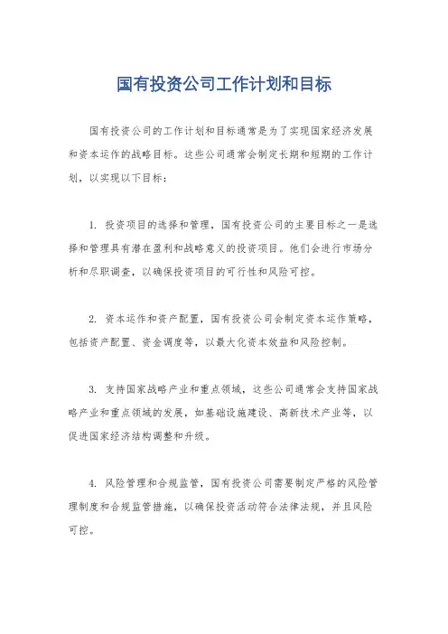 国有投资公司工作计划和目标