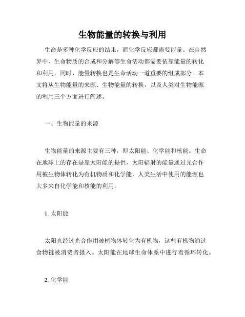 生物能量的转换与利用