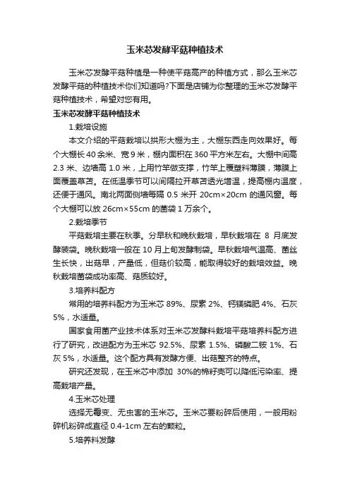 玉米芯发酵平菇种植技术